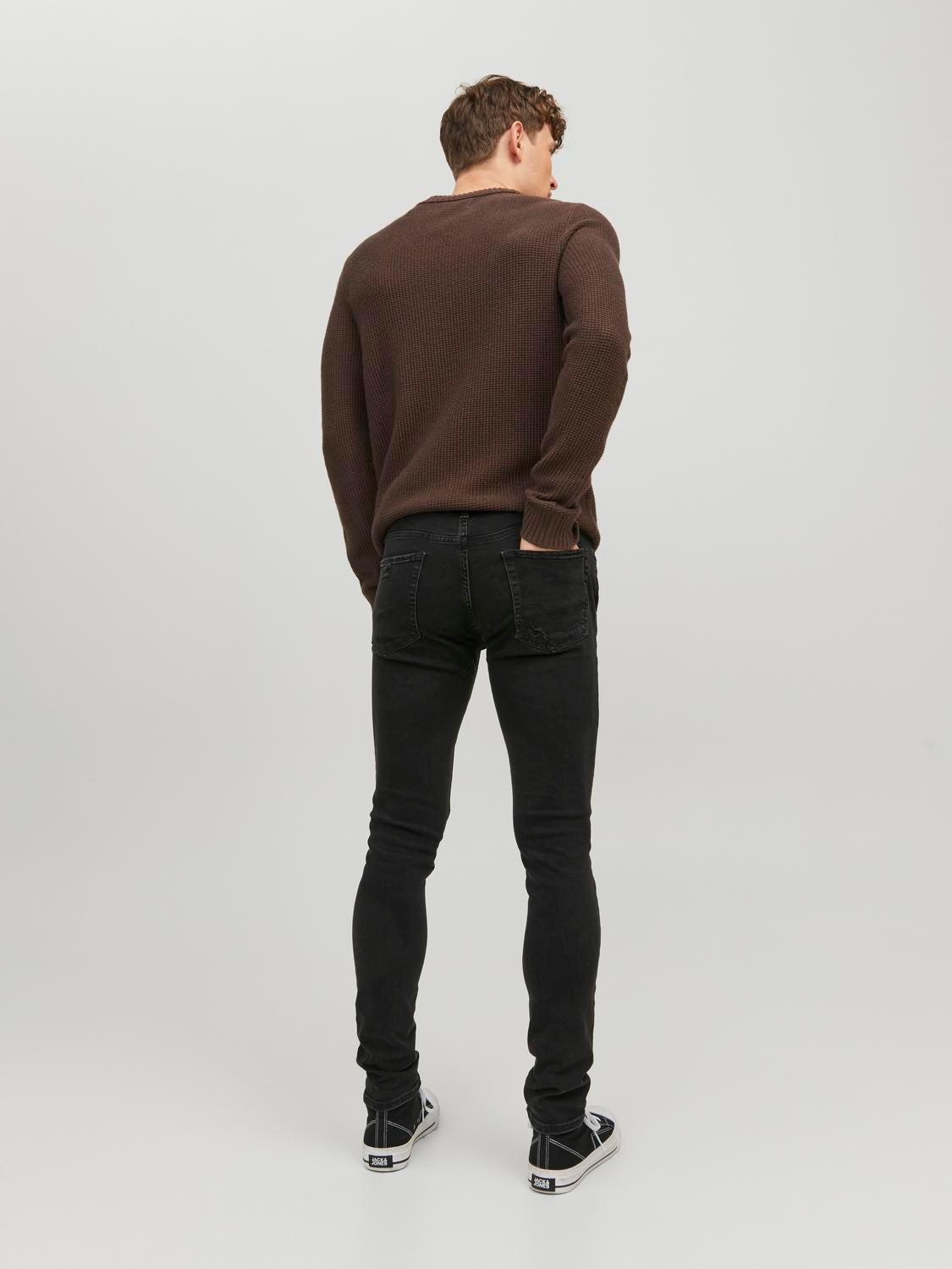 model_shot-back